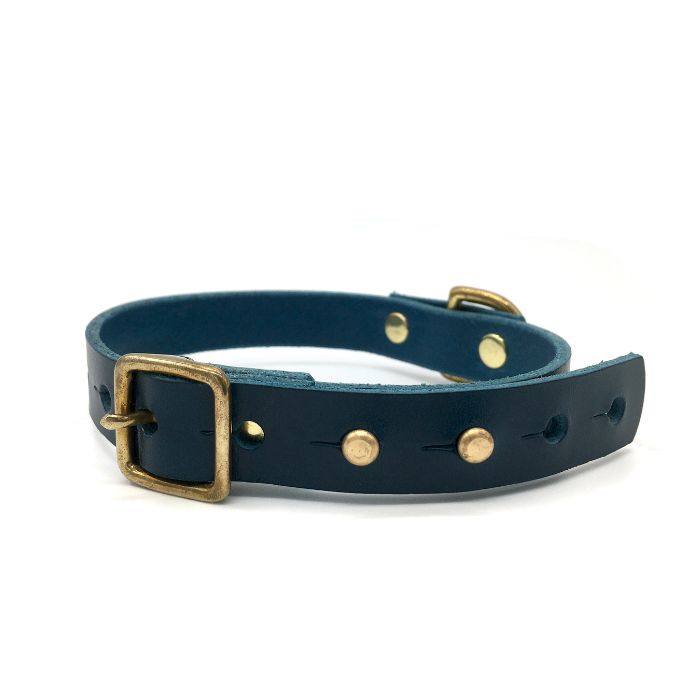 Brigadier Puppy/Small Breed Dog Leather Collar | Peacock Blue