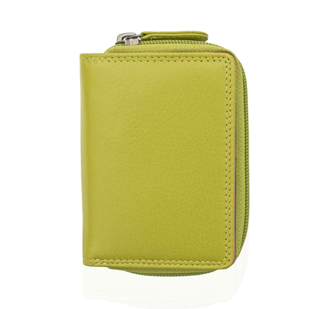 London Small Multicoloured Zipped Leather Purse | Lime Green